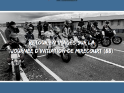 blog-grid
